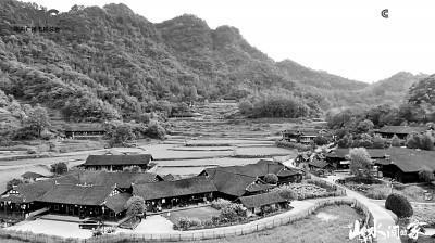 電視文藝創(chuàng)作描繪新時代"三農(nóng)"嶄新圖景