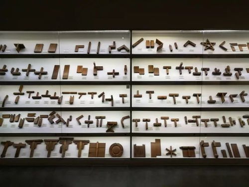 昨日受組織安排 小編體驗了精彩難忘的一日游