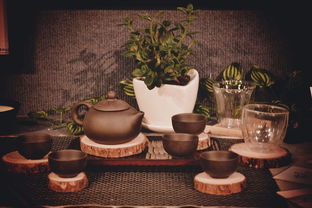 青春答卷2014——畢業設計《禪夢》 原創品牌衍生產品圖書出租計劃