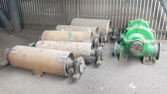 從煉鐵廠修舊利廢到圖書共享 探索資源高效利用的雙重路徑